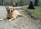 20040328 wandelen0002